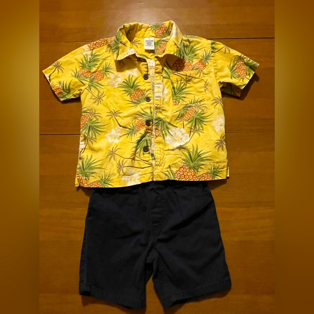 3T Hawaiian shirt and shorts outfit